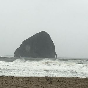 IMG_3805.JPG
