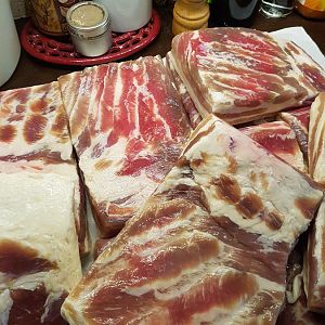 20161016_092220.jpg