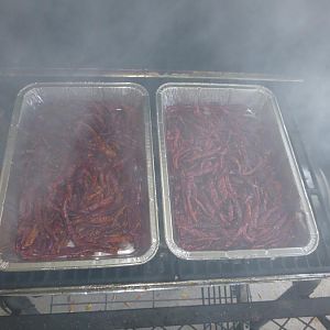 pepper_trays_smoking.jpg