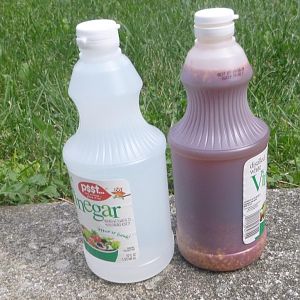 vinegar_pepper.jpg