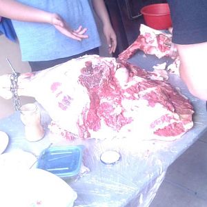 IMG-20161022-WA0014.jpeg