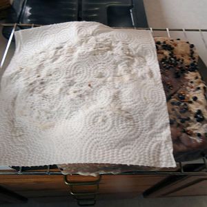Pastrami 14.jpg