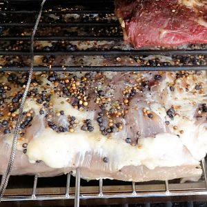 Pastrami 16.jpg