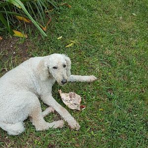 20161029_144240.jpg