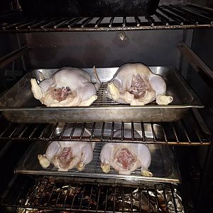 Chickens before smoking.jpg