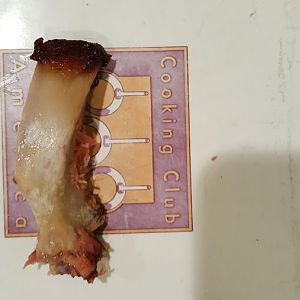 20161112_232256.jpg