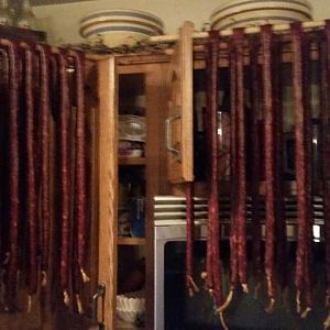 20161113_154118.jpg