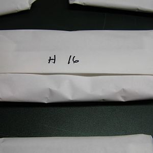 P1010034.JPG