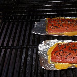 Peppered Salmon 1.jpg