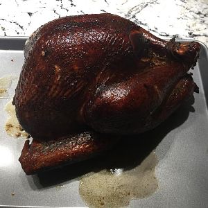 turkey.jpg