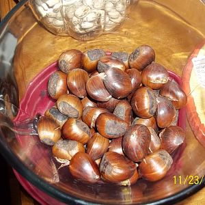 100_4931.JPG