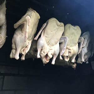 IMG_0210.JPG