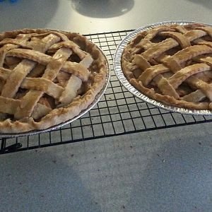 20161124_131742-1.jpg