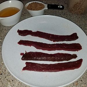 ebt1.jpg