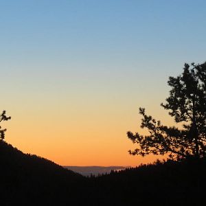 IMG_6364.JPG