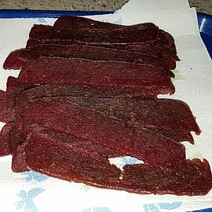 gfbacjerk8.jpg