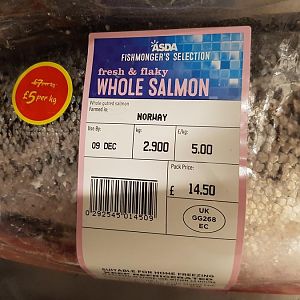 Salmon.jpg