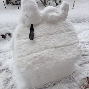 snoopy.jpg
