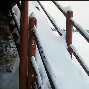Snow1.jpg