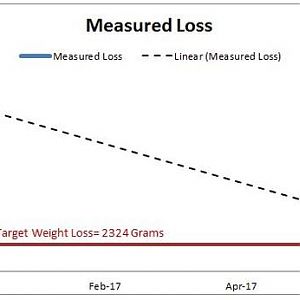 Loss-12-18-16 Chart.jpg