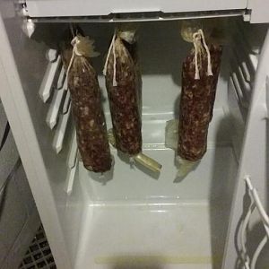 salami2016.jpg