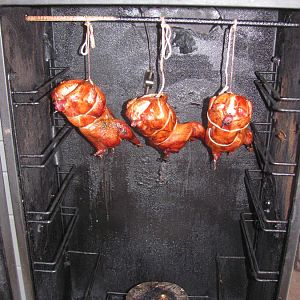IMG_6686.JPG