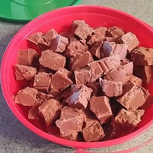 Fudge 1.JPG