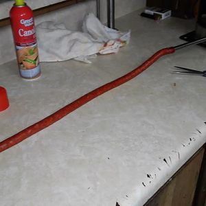 20161216_095439.jpg