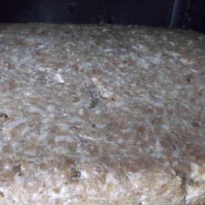 Gound and formed bacon.JPG