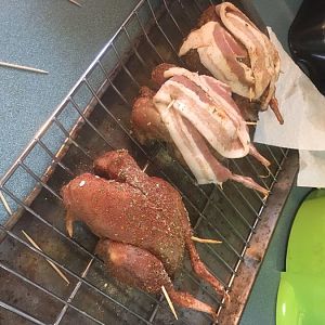 chukar 1.jpg