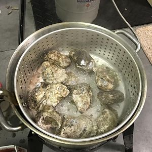 IMG_1808.JPG