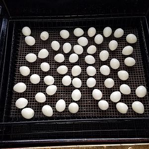 smpqegg1.jpg