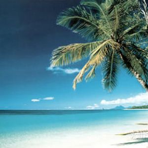 beach-morning-art-print-poster.jpg