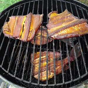 20160716_111334.jpg