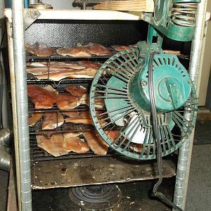 9-27-2015 Tongue - Fish 004.JPG