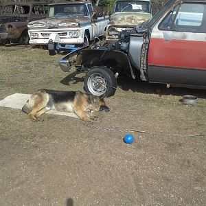 old cell phone pic dump 003.jpg