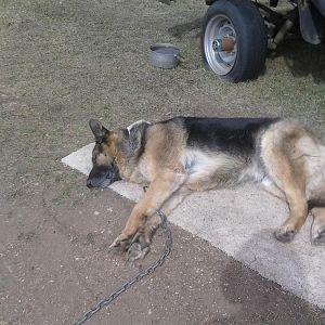 old cell phone pic dump 020.jpg