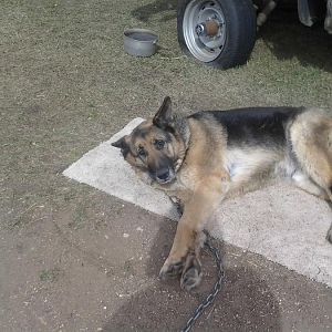 old cell phone pic dump 021.jpg