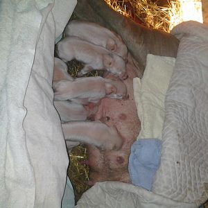 old cell phone pic dump 026.jpg