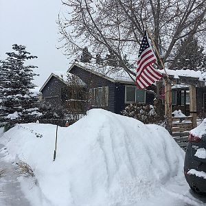 31368276814_b2515452d5_c.jpg
