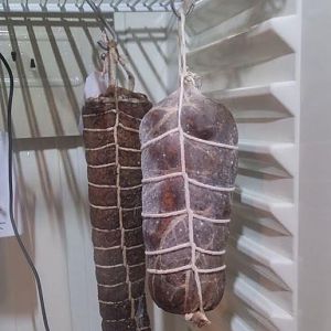 Coppa 4.JPG
