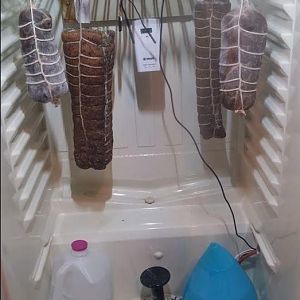 Coppa 5.JPG