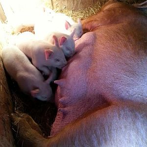 cell phone dump 020.jpg