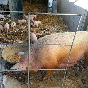 cell phone dump 016.jpg