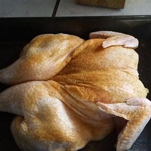 20170115_144615.jpg