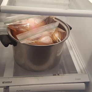 20170117_041254.jpg