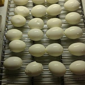 IMG_20170120_165159040.jpg
