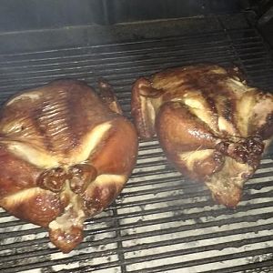 IMG_20170122_175637801.jpg