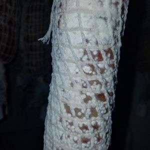20170128_205527.jpg