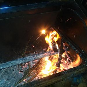 IMG_20170131_210225.jpg